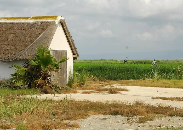 Birds&nature L'Eucaliptus